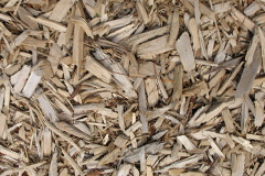 biomass boilers Ludwell